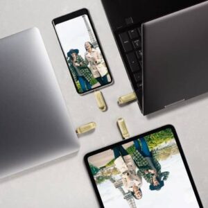 SanDisk SDDDC4-064G-I35GD 64 GB OTG Drive Compatible with Mobile, Desktop Computer, Laptop USB 3.1 Metal Case